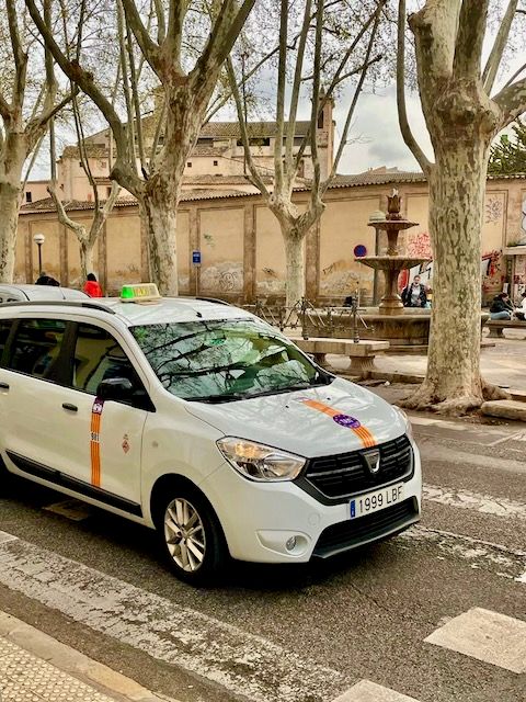 5 Minuten Mallorca | Nachrichten am 25. März 2022