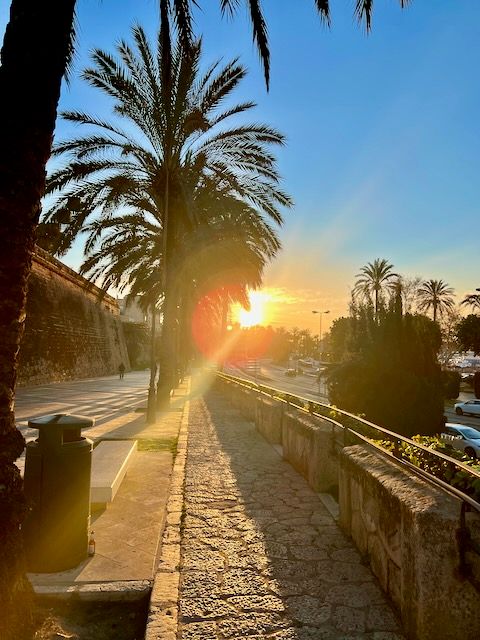 5 Minuten Mallorca | Nachrichten am 1. Februar 2022