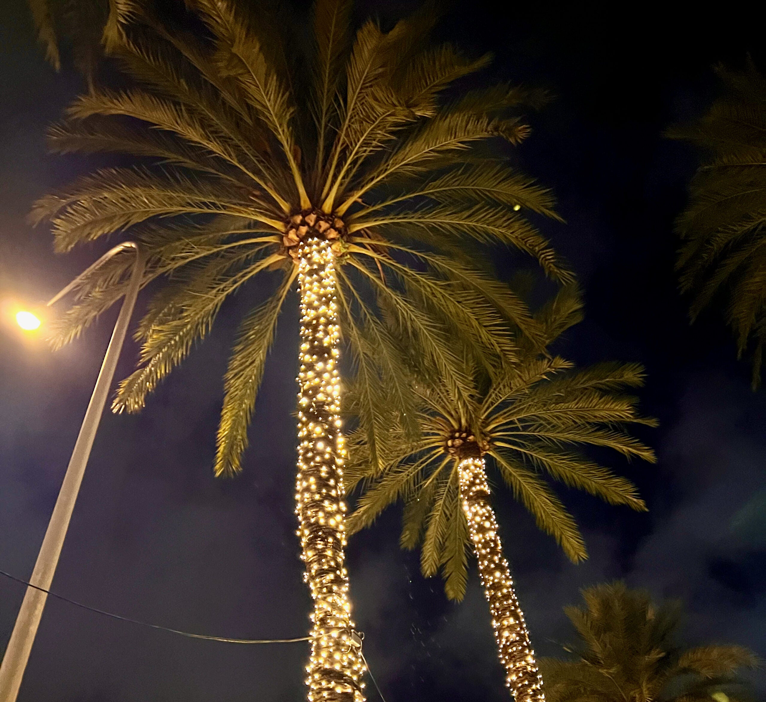 5 Minuten Mallorca | Nachrichten am 13. Dezember 2024