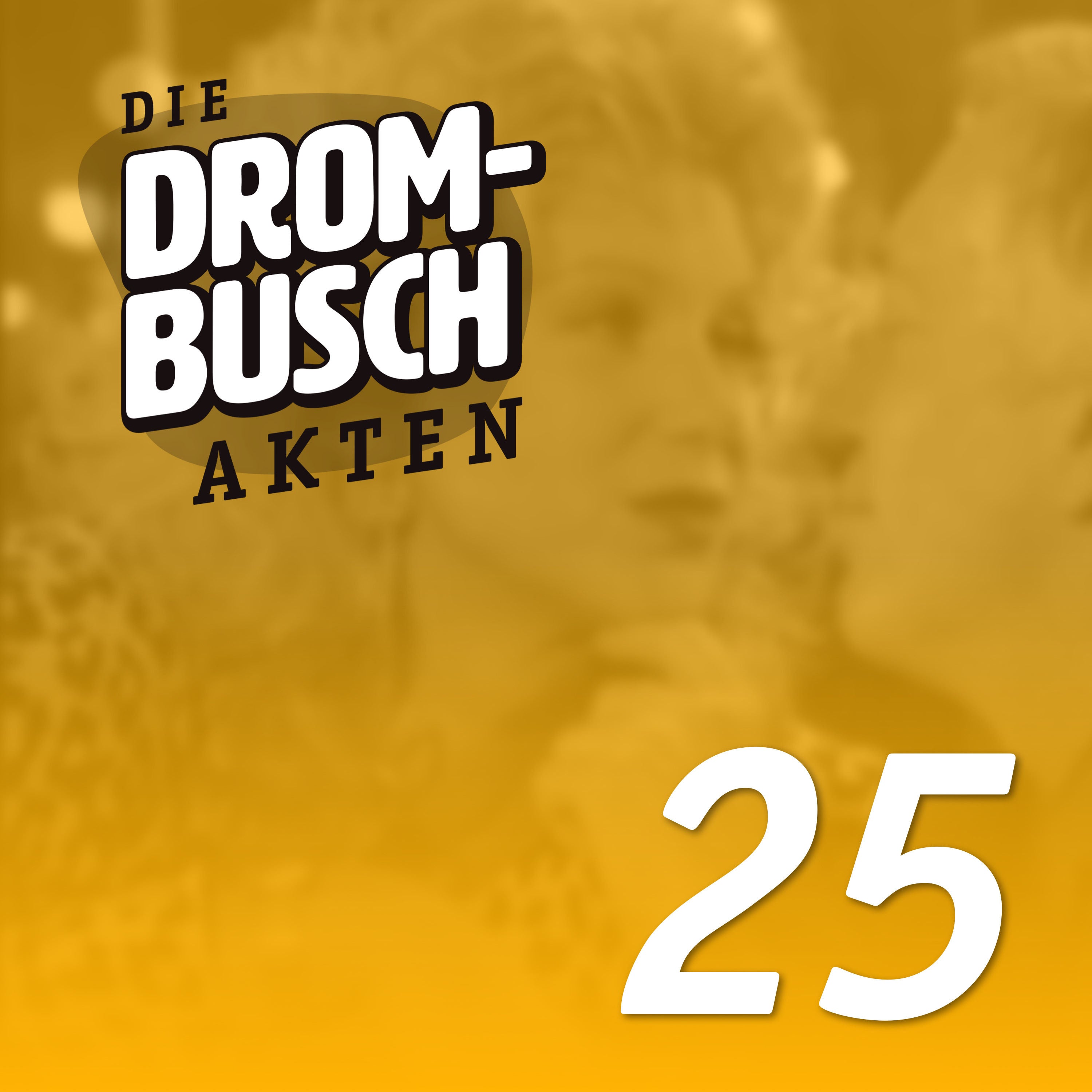 DROM025: Der falsche Weg