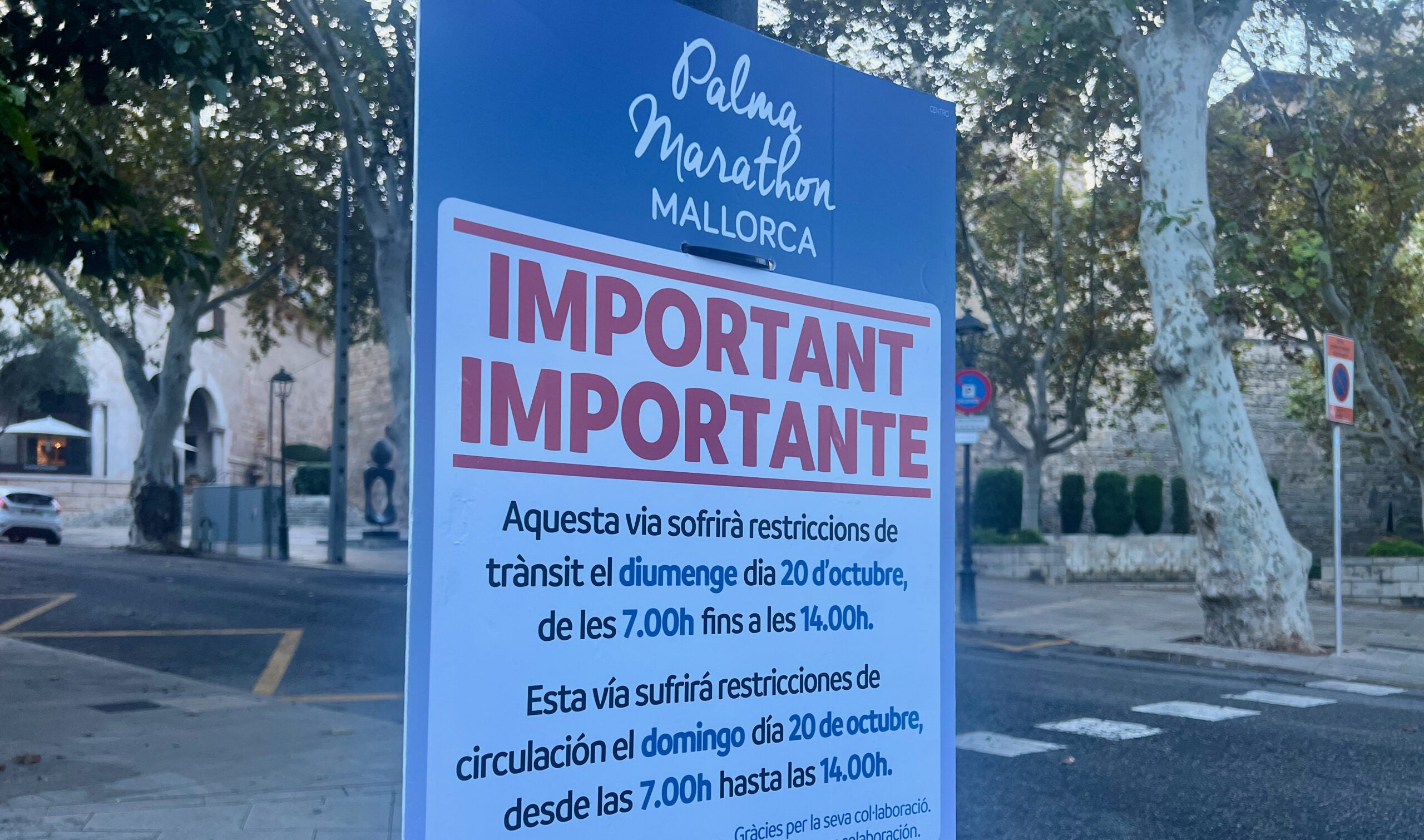 5 Minuten Mallorca | Nachrichten am 19. Oktober 2024