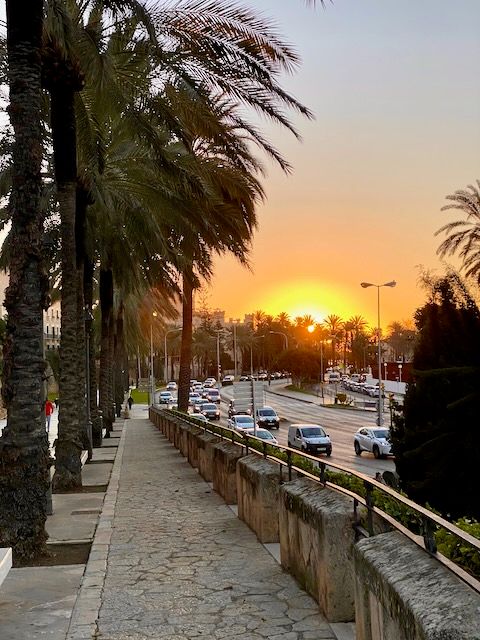5 Minuten Mallorca | Nachrichten am 14. Januar 2022