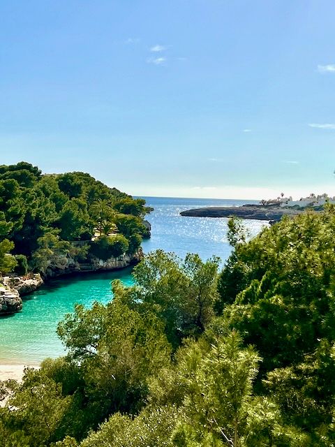 5 Minuten Mallorca | Nachrichten am 16. Februar 2022