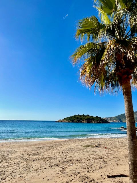 5 Minuten Mallorca | Nachrichten am 14. Dezember 2021