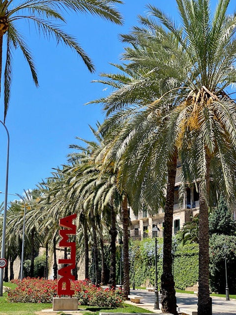 5 Minuten Mallorca | Nachrichten am 17. November 2021