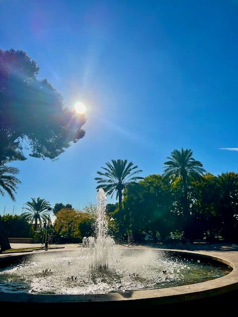5 Minuten Mallorca | Nachrichten am 8. Dezember 2021