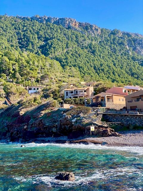 5 Minuten Mallorca | Nachrichten am 20. Dezember 2021