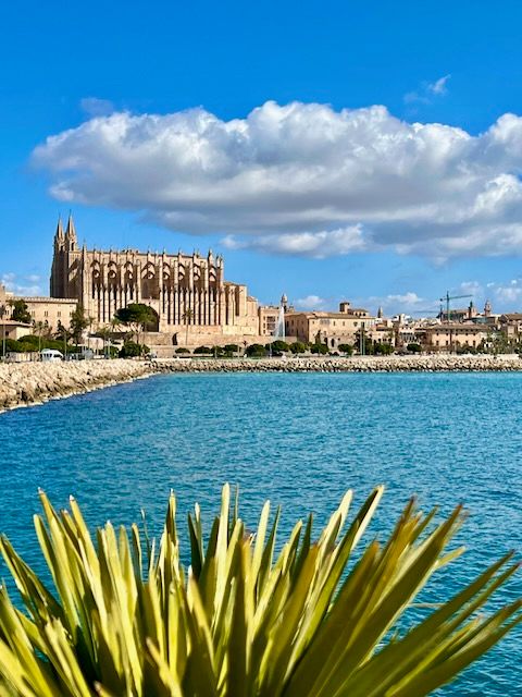 5 Minuten Mallorca | Nachrichten am 21. Februar 2022