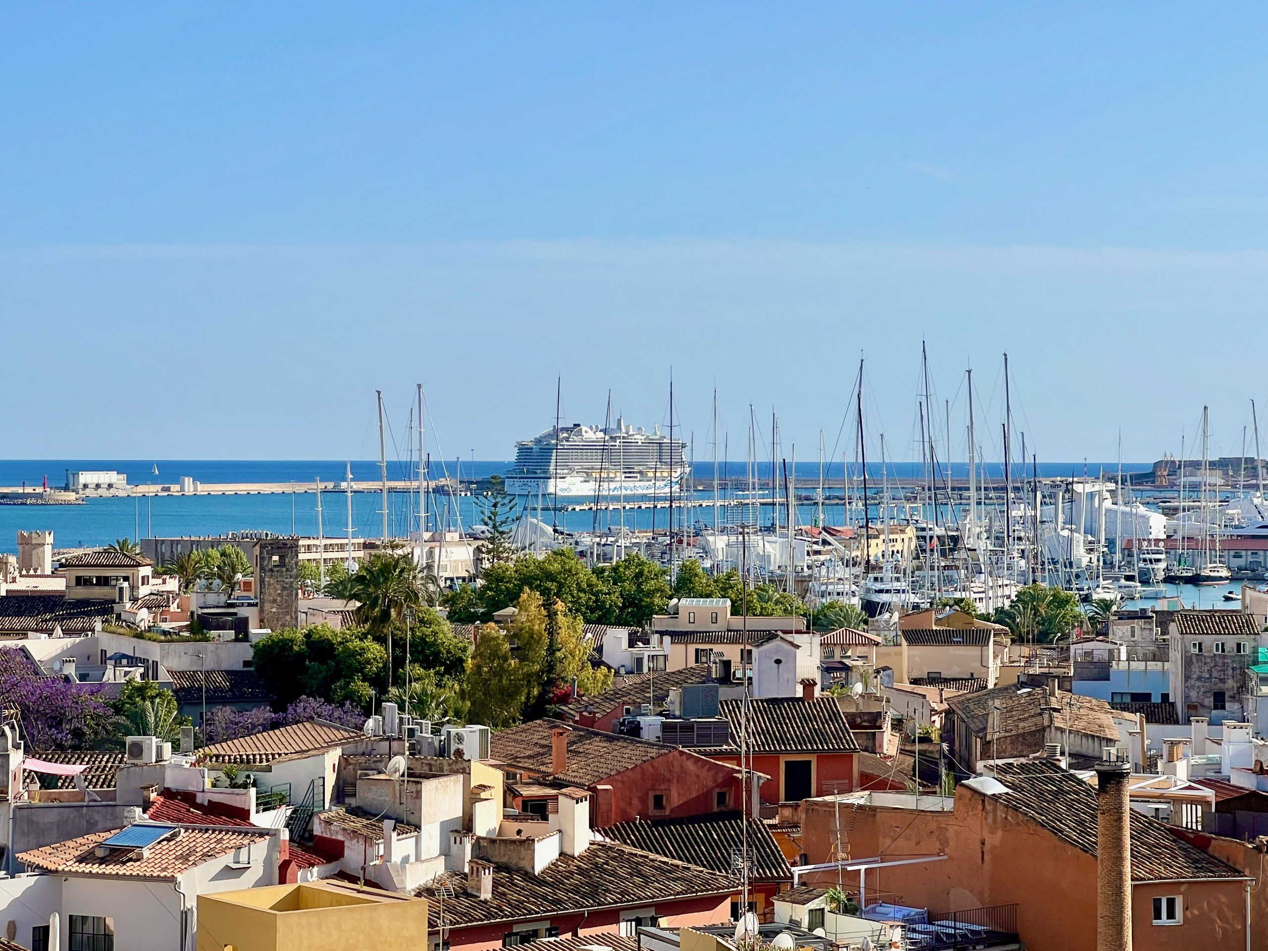 5 Minuten Mallorca | Nachrichten am 8. August 2023