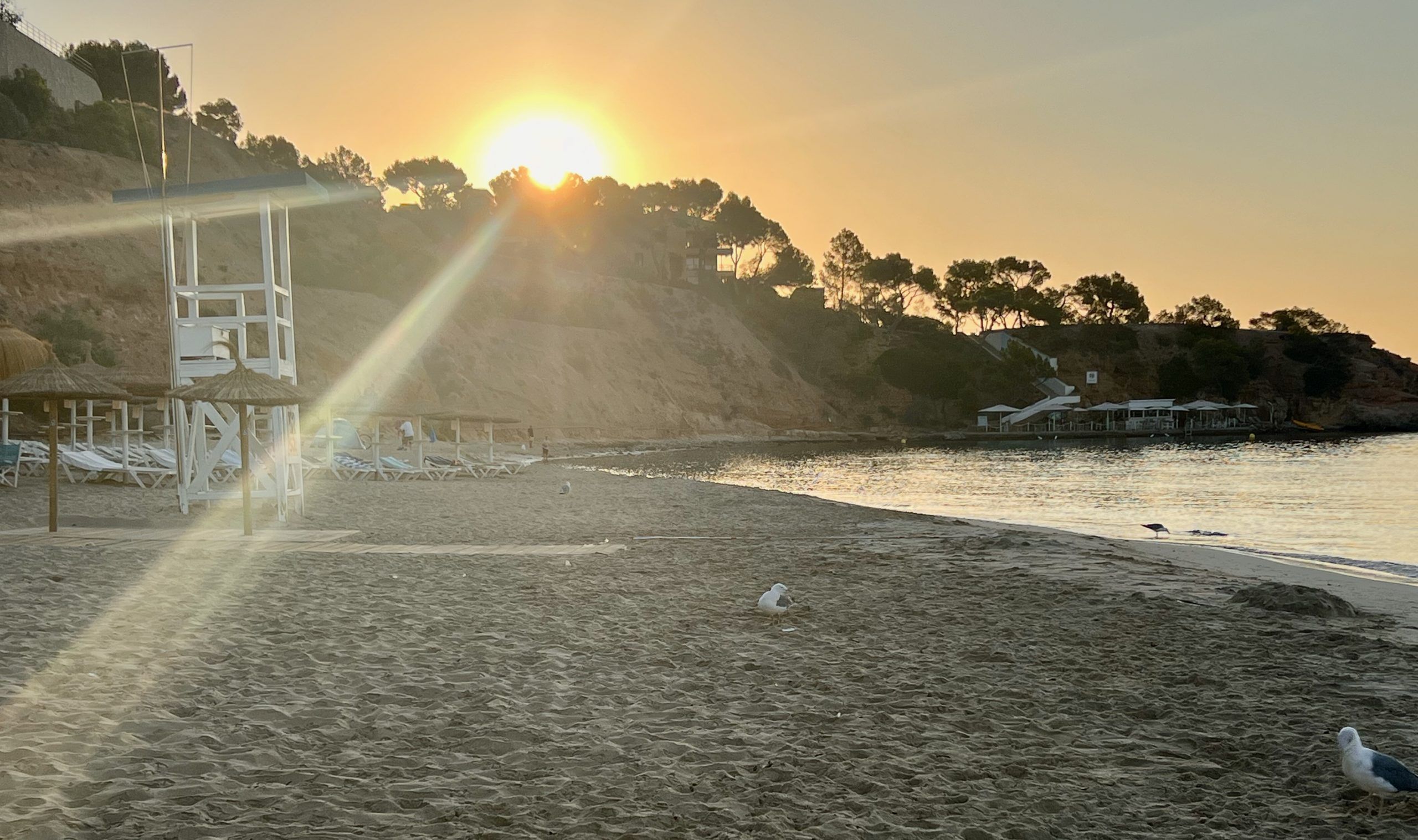 5 Minuten Mallorca | Nachrichten am 12. August 2024