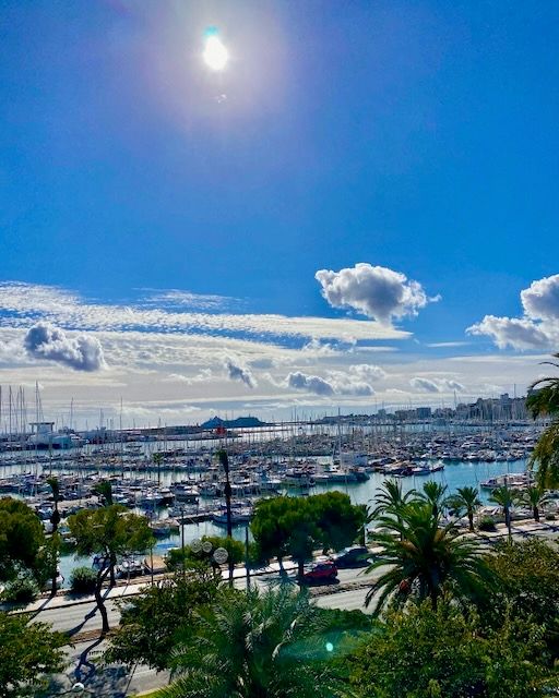5 Minuten Mallorca | Nachrichten am 9. Dezember 2021