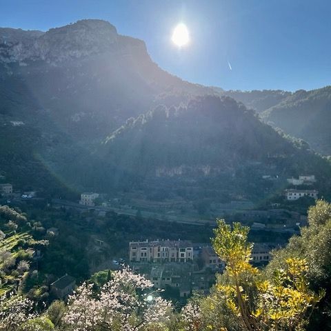 5 Minuten Mallorca | Nachrichten am 31. Januar 2022