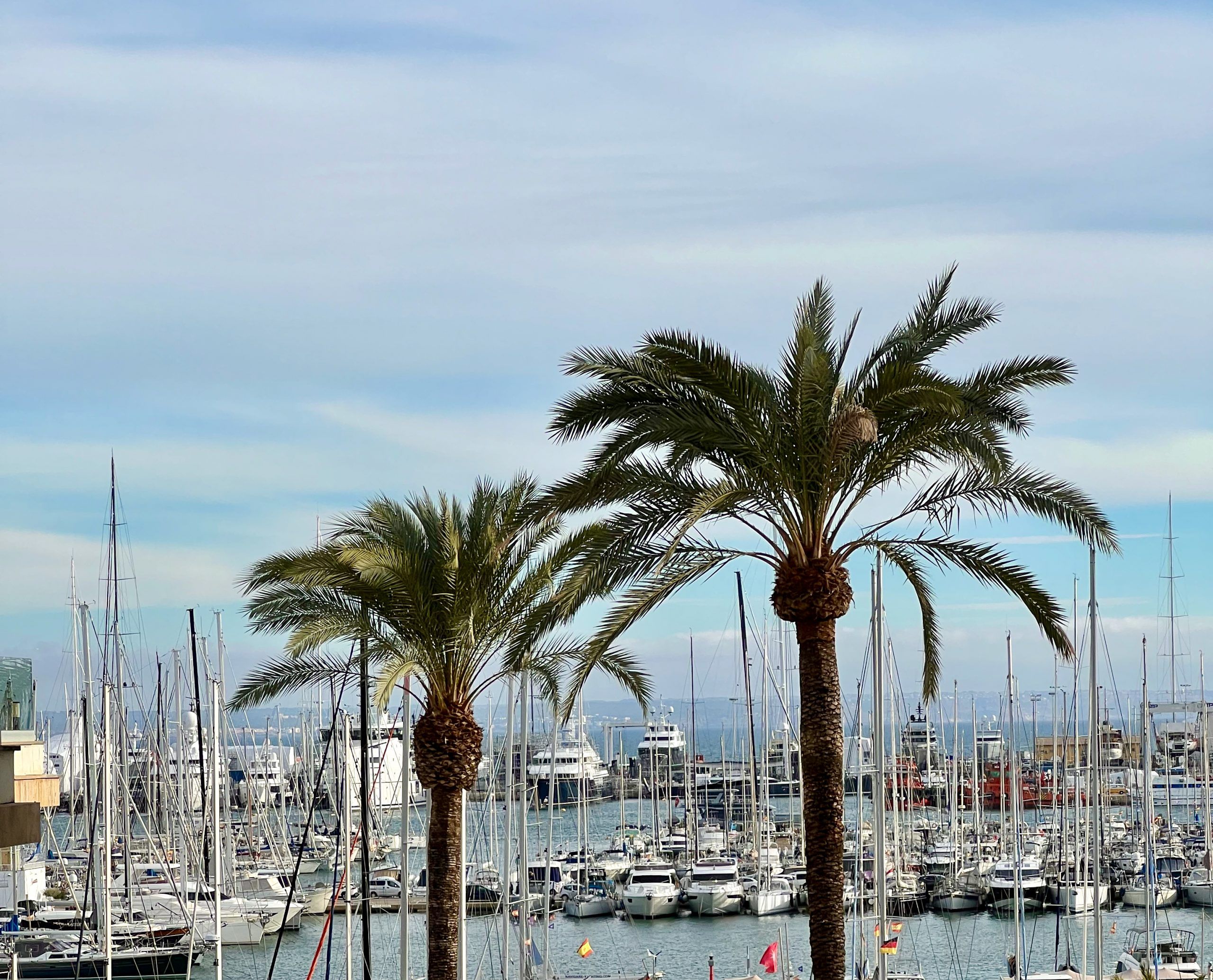 5 Minuten Mallorca | Nachrichten am 17. November 2023