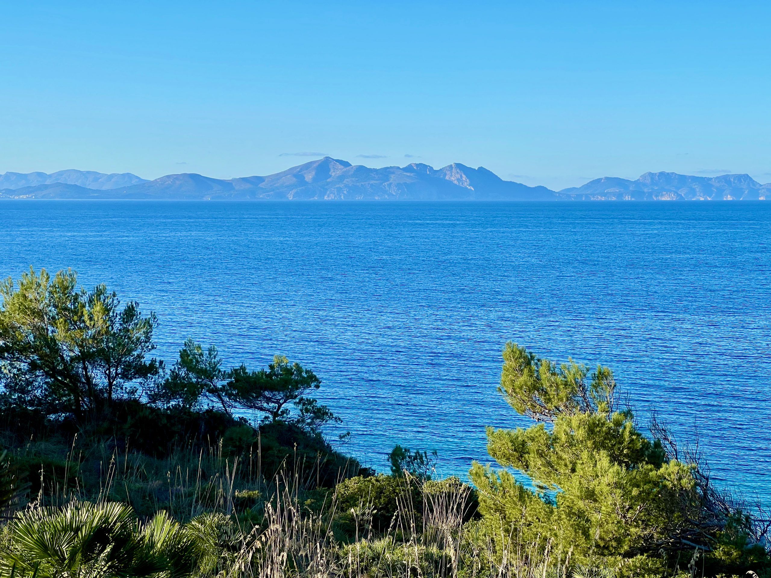 5 Minuten Mallorca | Nachrichten am 20. Januar 2023