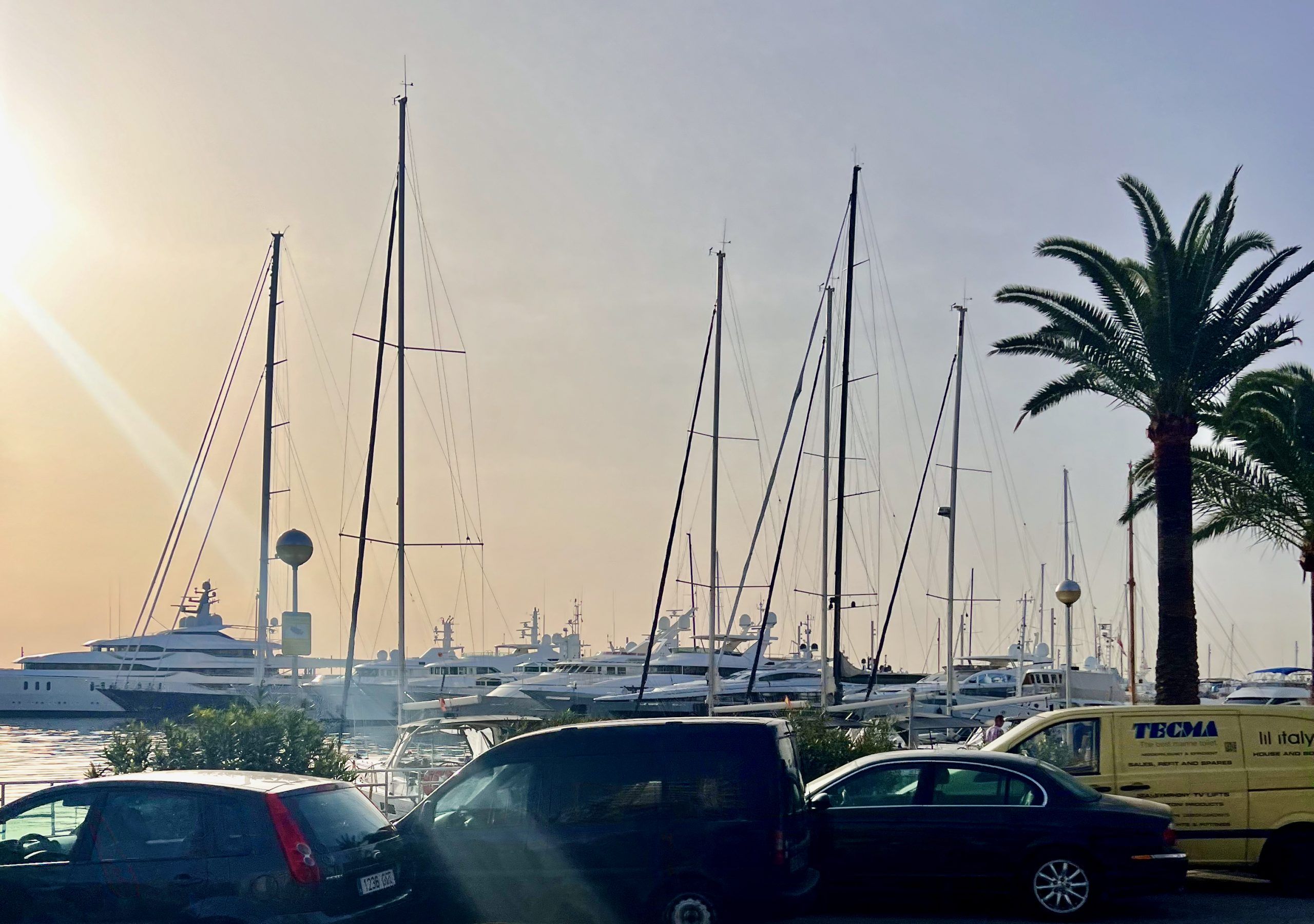 5 Minuten Mallorca | Nachrichten am 20. März 2024