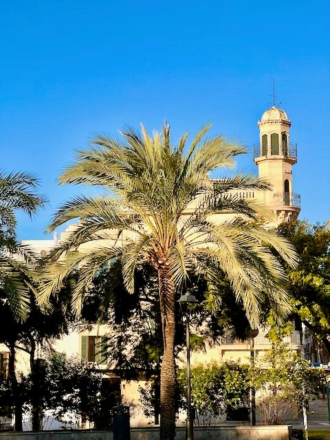 5 Minuten Mallorca | Nachrichten am 29. Dezember 2021