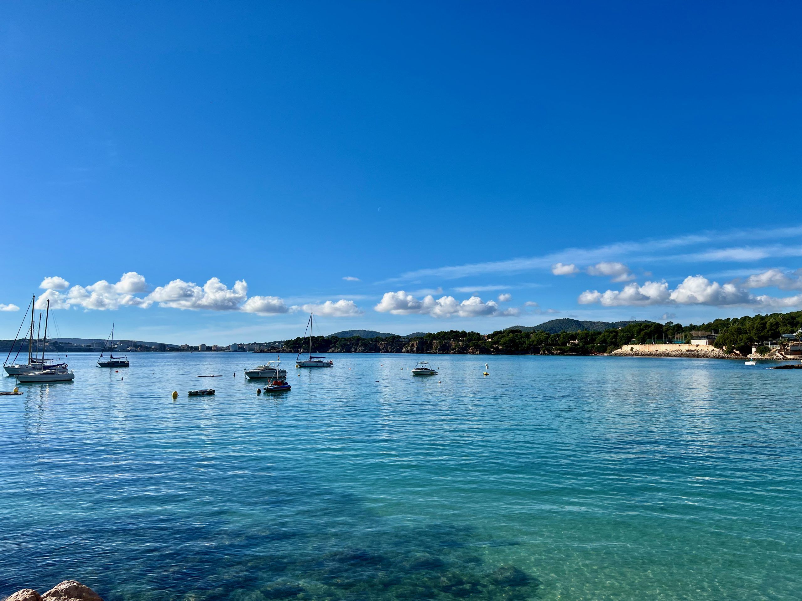 5 Minuten Mallorca | Nachrichten am 11. Mai 2023