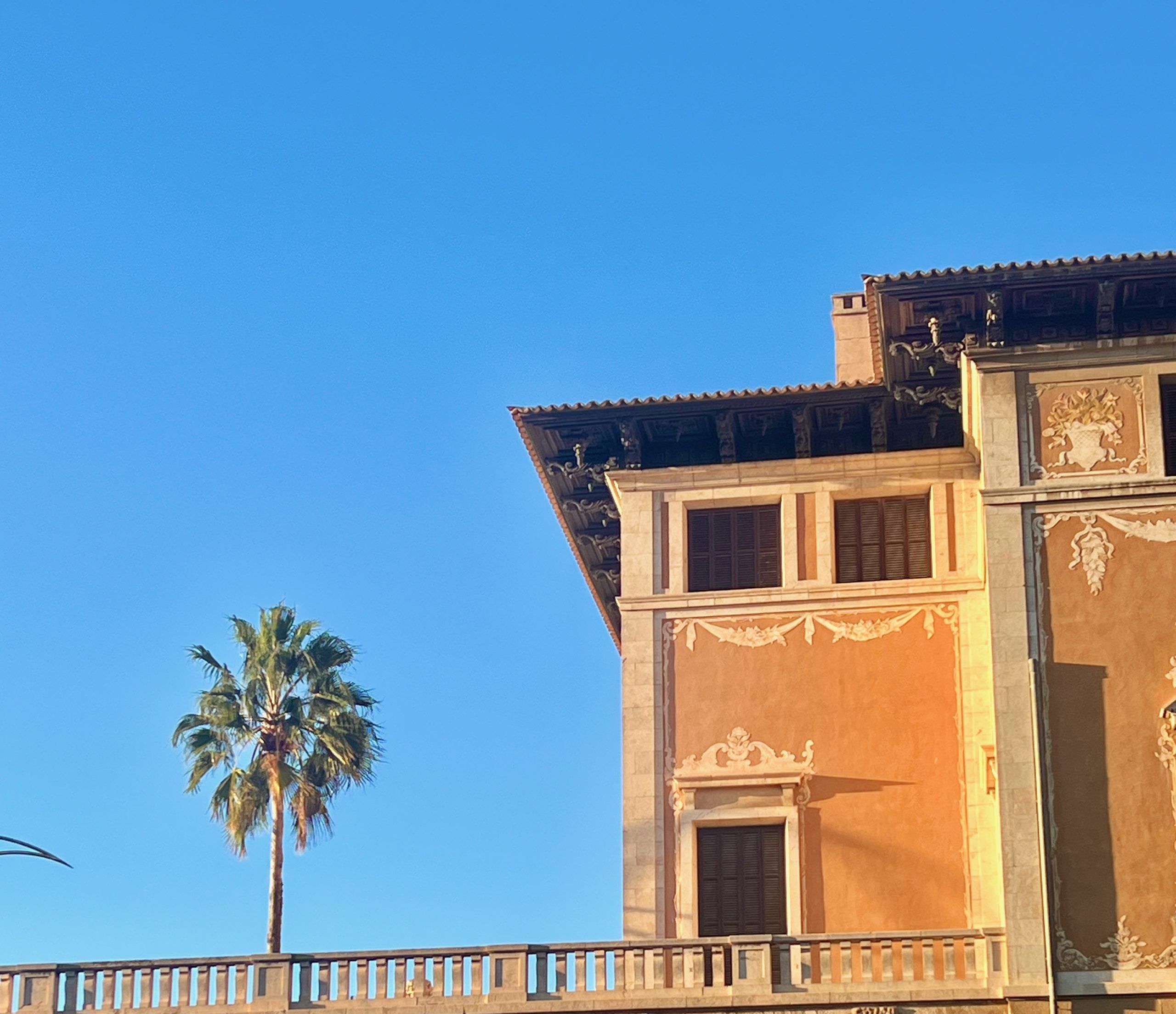 5 Minuten Mallorca | Nachrichten am 20. November 2023