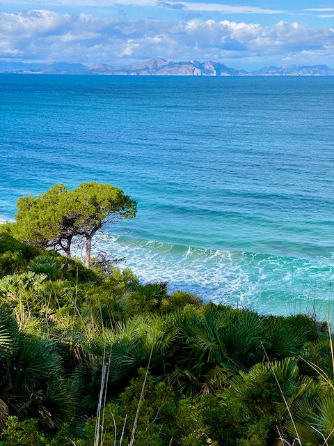 5 Minuten Mallorca | Nachrichten am 7. Januar 2022