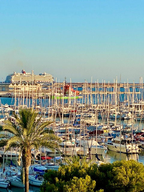 5 Minuten Mallorca | Nachrichten am 13. Januar 2022