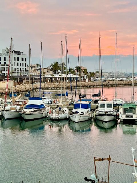 5 Minuten Mallorca | Nachrichten am 8. Februar 2022