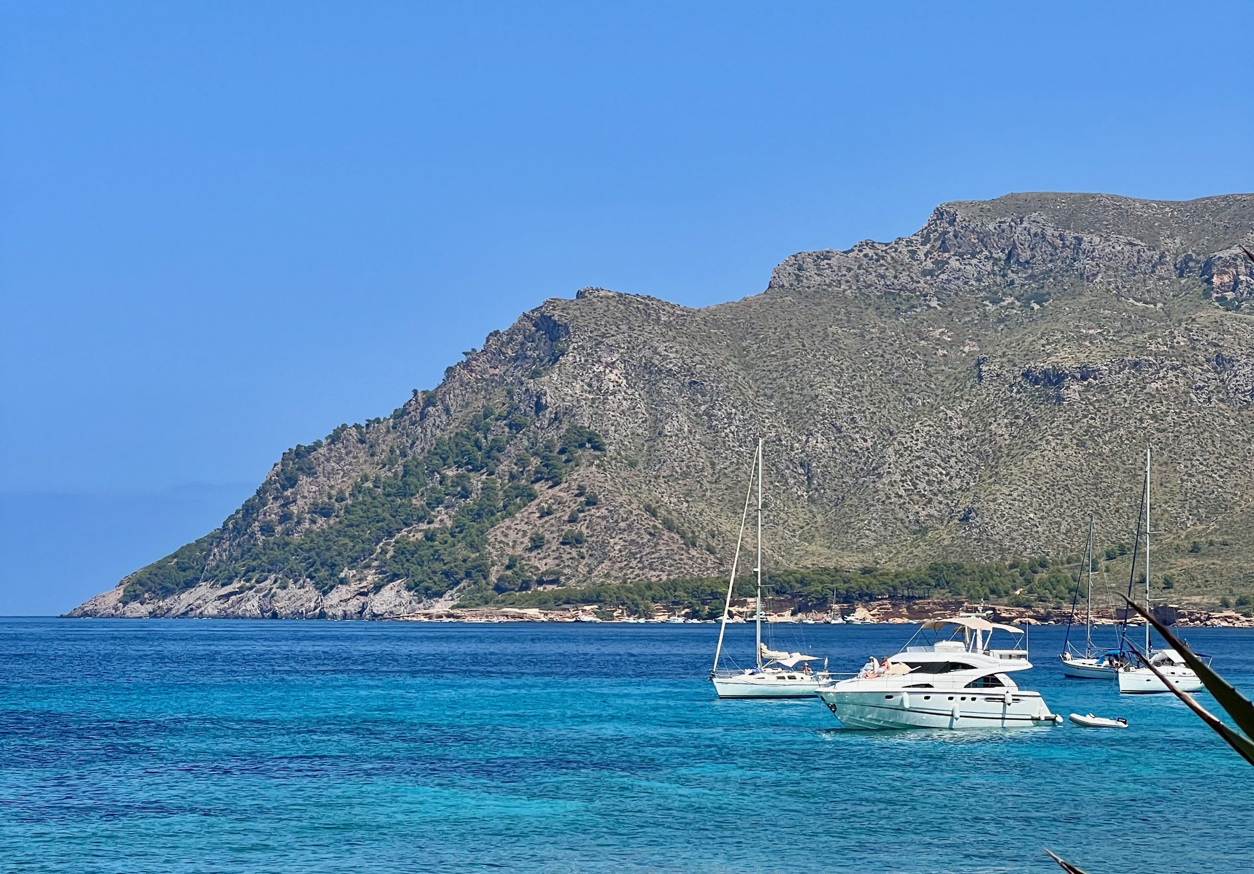 5 Minuten Mallorca | Nachrichten am 29. August 2024