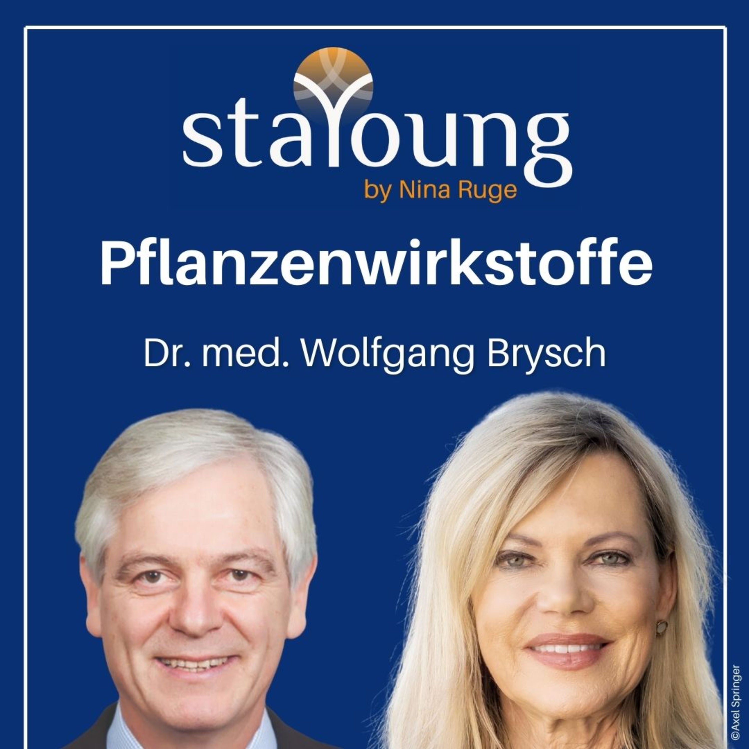 Phytopharmaka - Der Experte Dr. med. Wolfgang Brysch über Pflanzenwirkstoffen und Bioverfügbarkeit