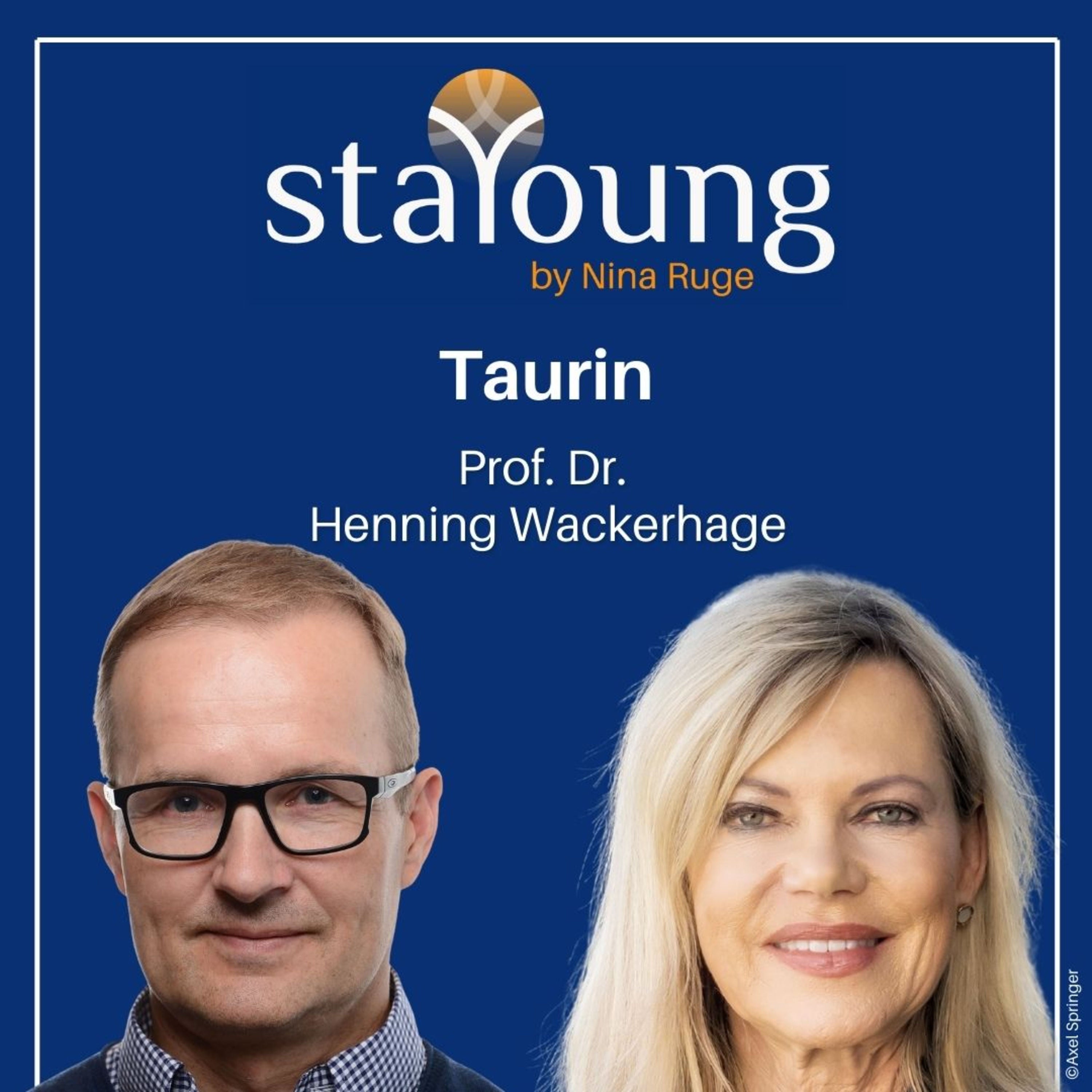 Die Kraft des Bullen – Prof. Dr. Henning Wackerhage über die Bedeutung von Taurin in unserem Körper