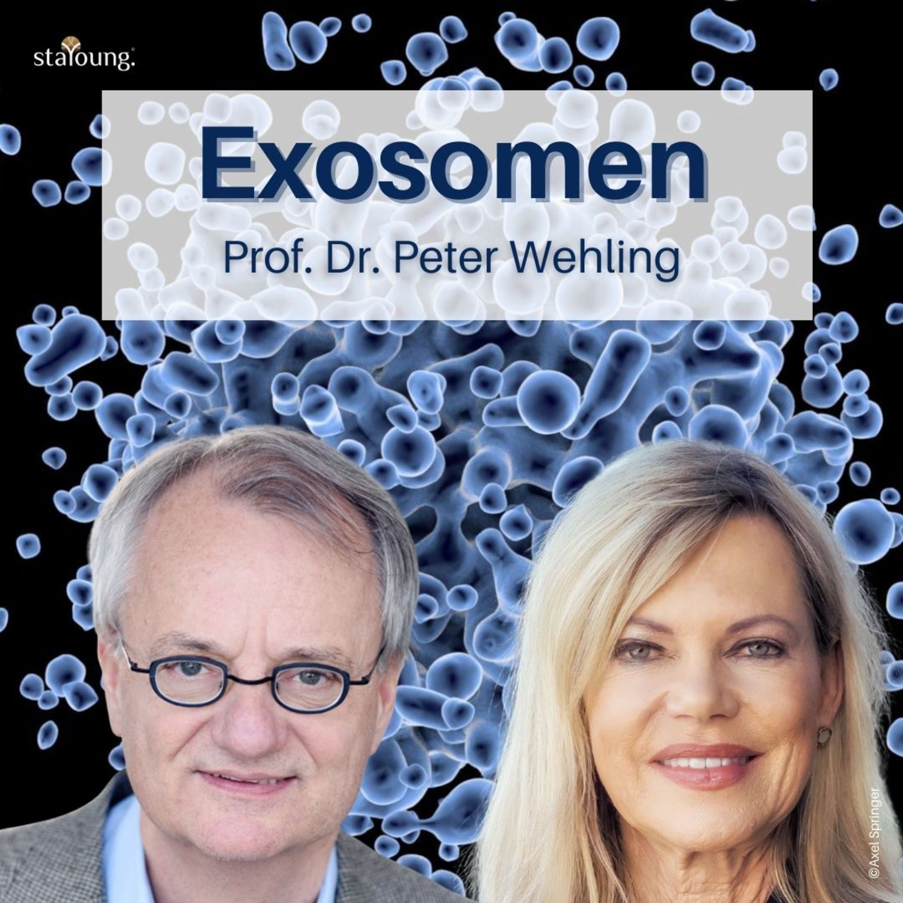 Exosomen - Experte Prof. Dr. Peter Wehling über eine neue Dimension der Regeneration und Schmerztherapie