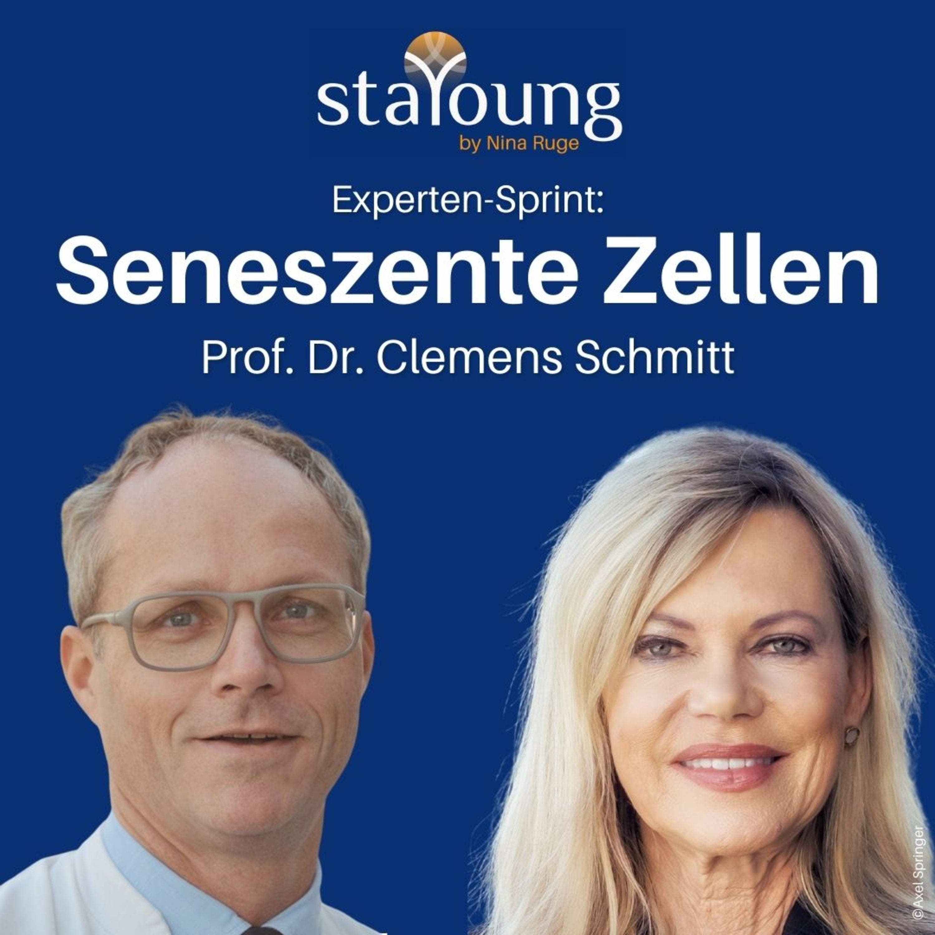 Seneszente Zellen. Prof. Dr. Clemens Schmitt klärt auf - Experten-Sprint