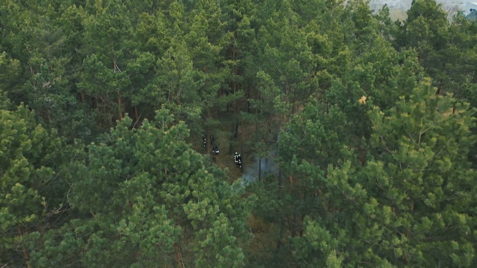 Thema u.a.: Waldbrand-Gefahr: Wie Satelliten-Technik hilft, Feuer schneller zu löschen