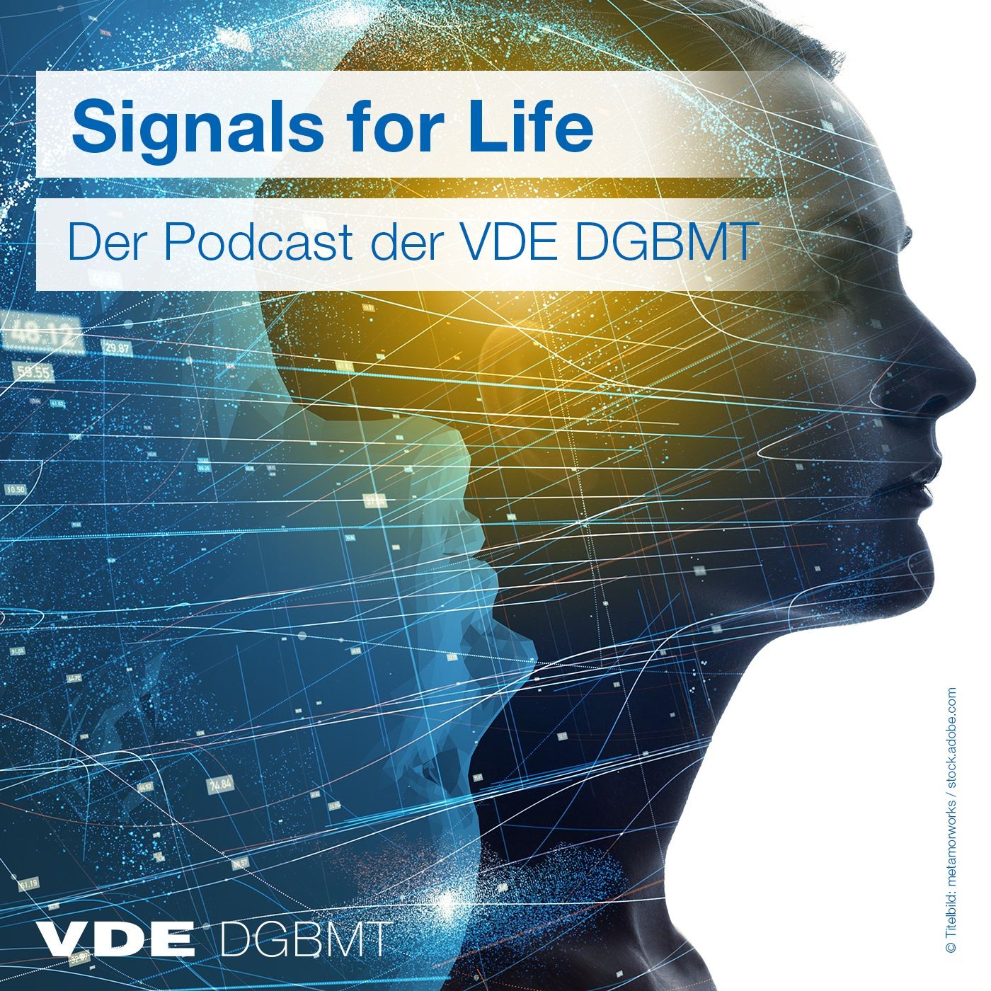 #36 Weihnachtsspezial: Nachwuchsförderung bei der DGBMT