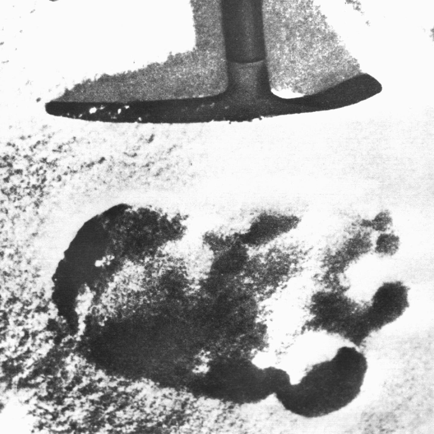 Himalaya-Forscher Dyhrenfurth über den "Schneemenschen" alias Yeti | 19.4.1952