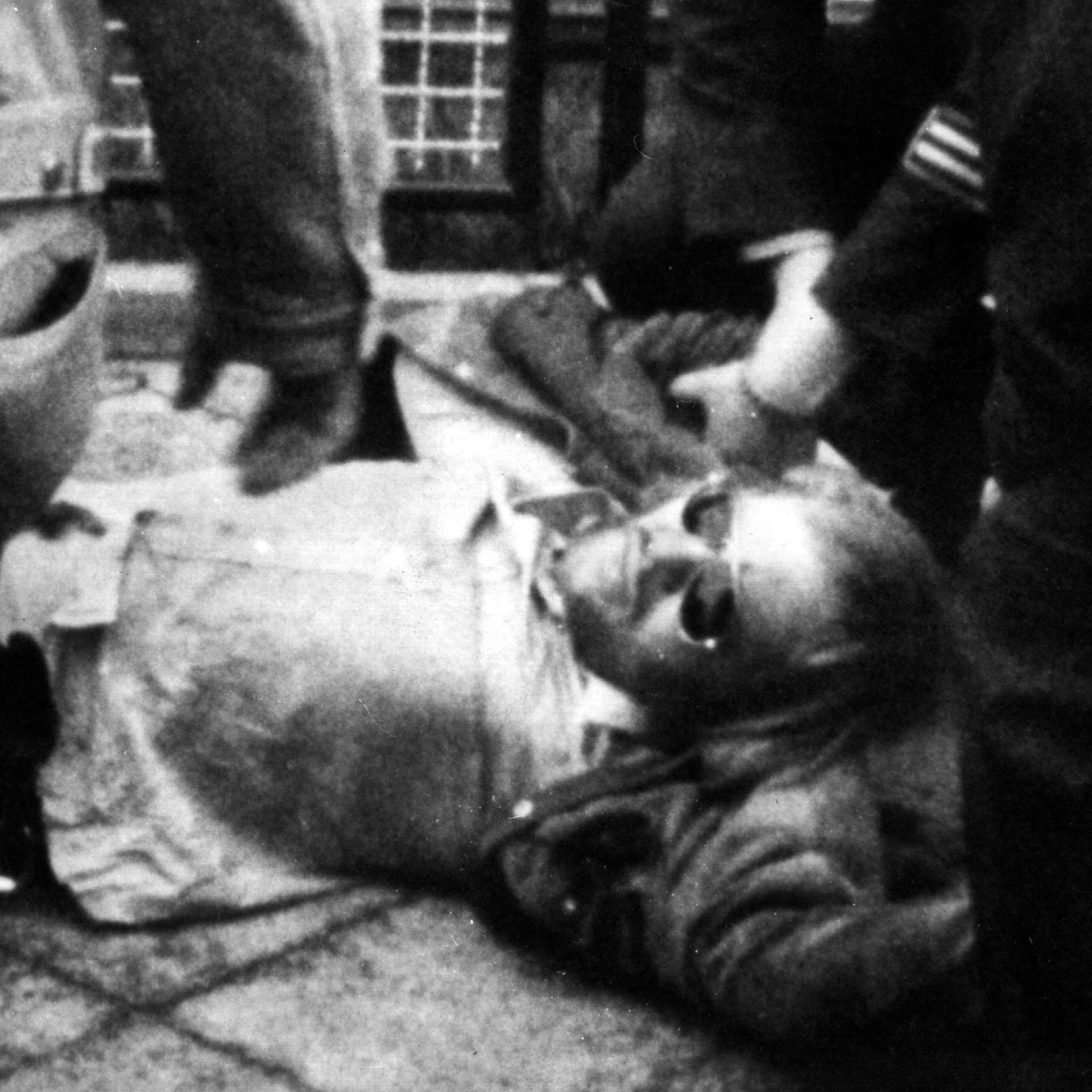Verhaftung der RAF-Mitglieder Andreas Baader, Holger Meins und Jan-Carl Raspe | 1.6.1972