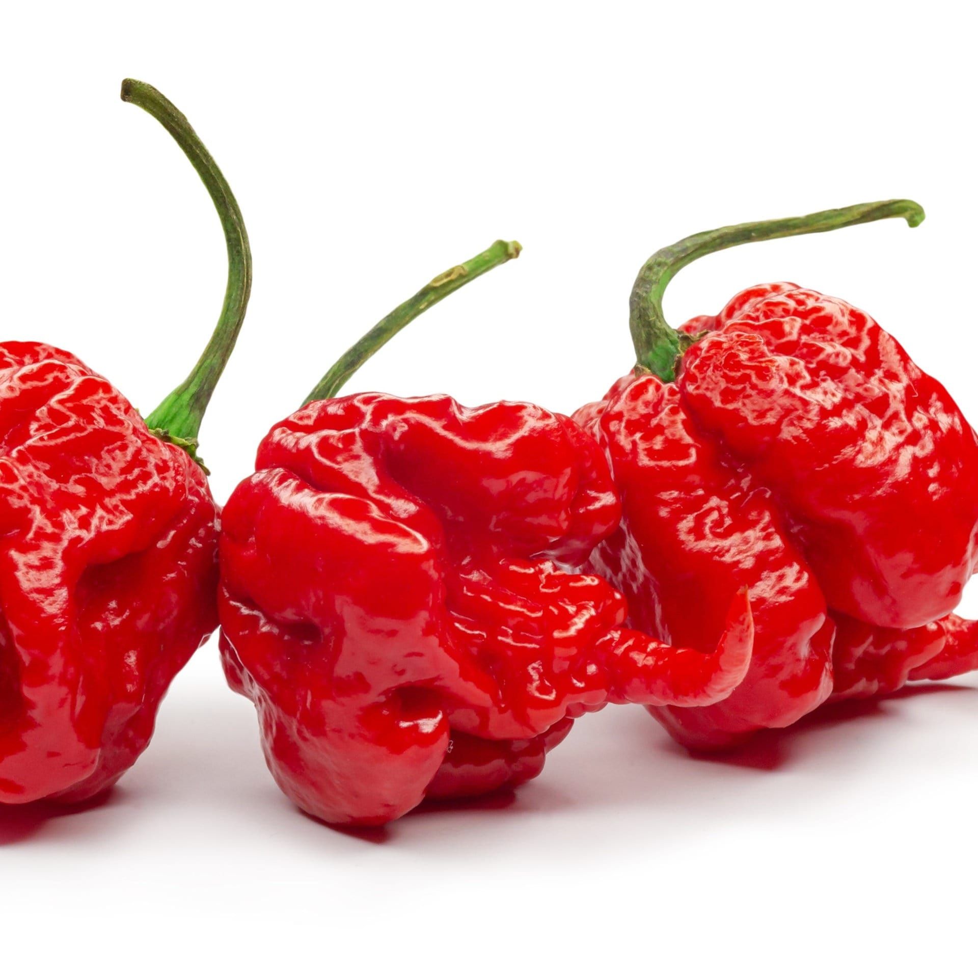 Wie misst man "Schärfe" und warum sind Chilis "anders" scharf als Senf oder Wasabi?