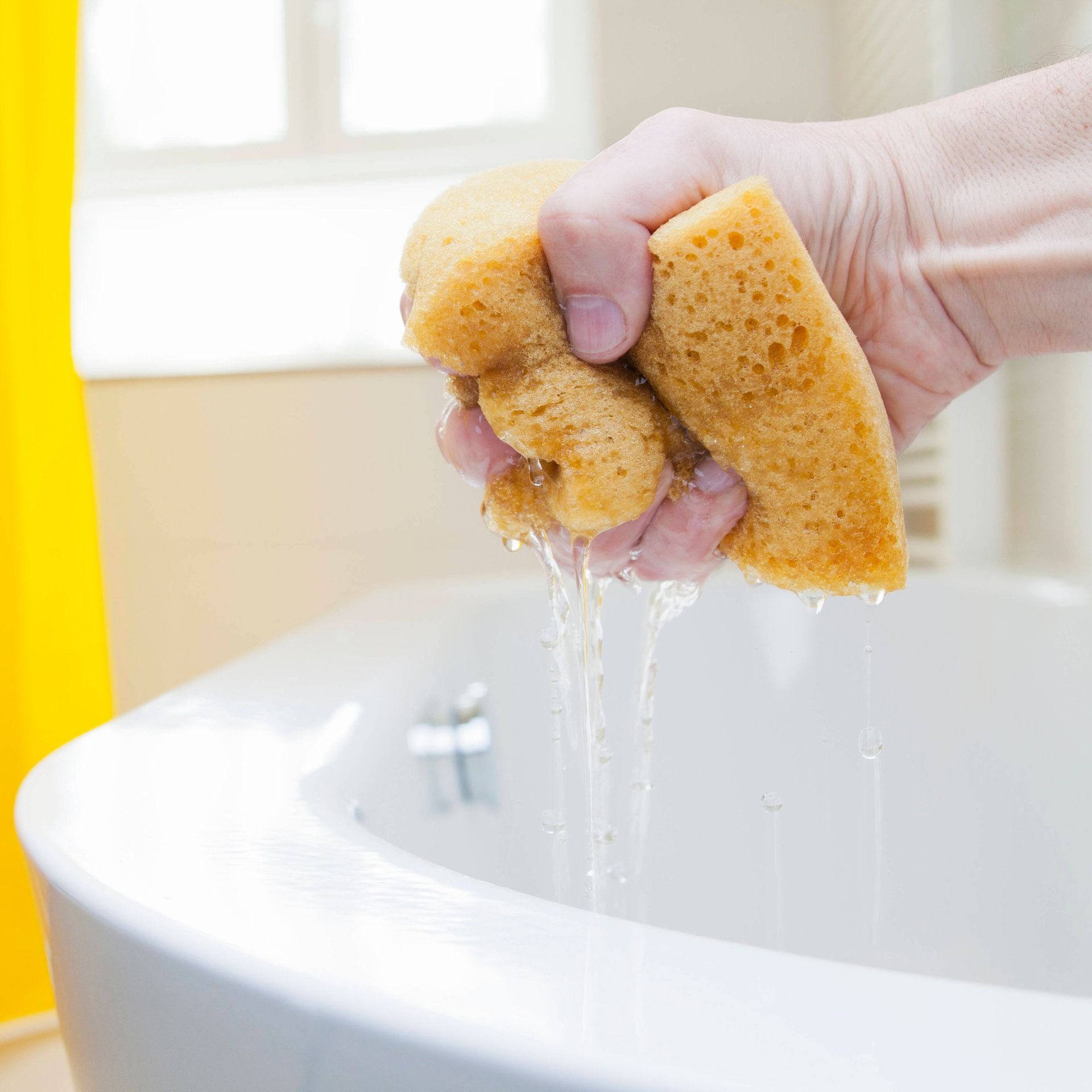 Warum nimmt ein feuchter Schwamm Wasser besser auf als ein trockener?