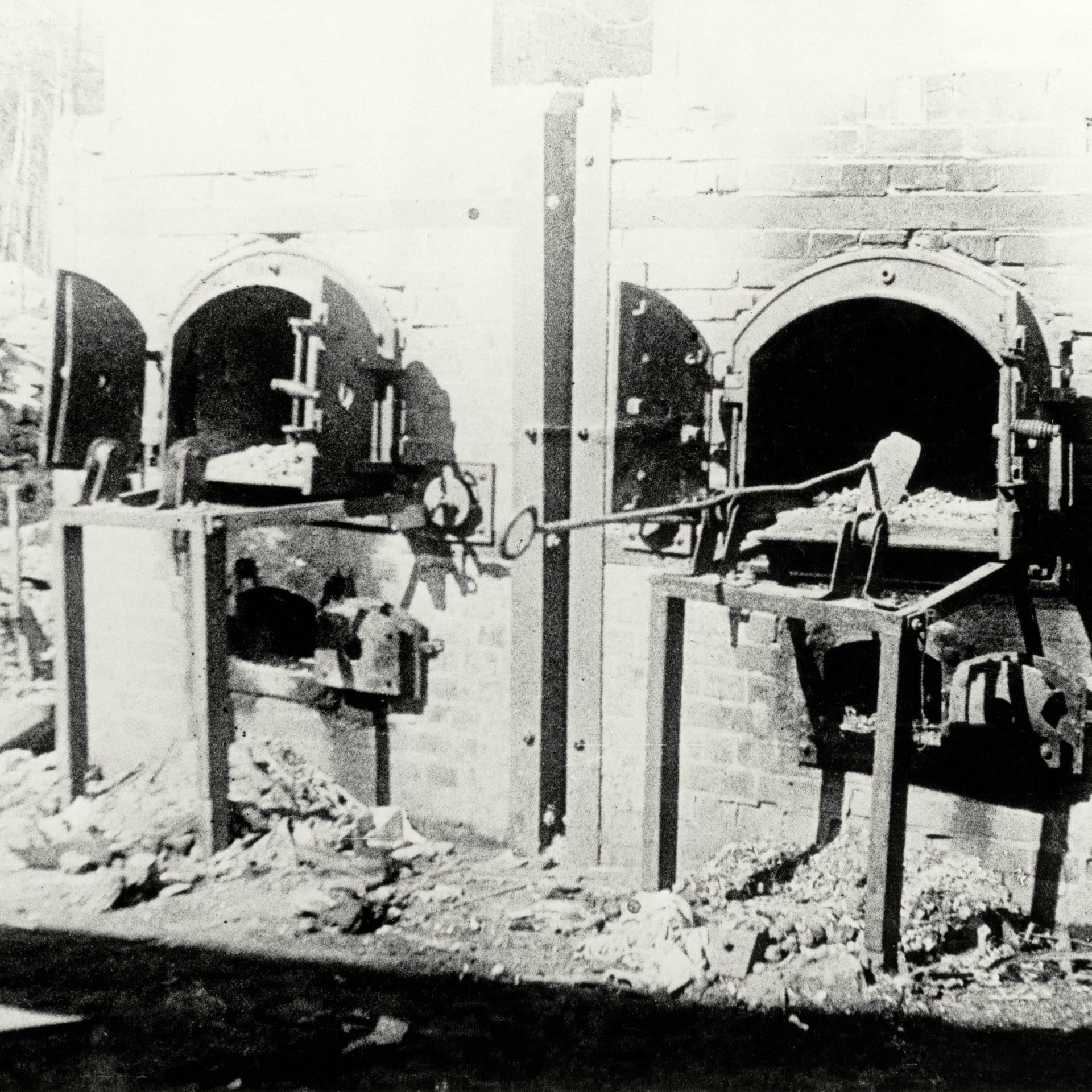 Die Rolle der Ärzte in den Gaskammern | 8.10.1964 | Frankfurter Auschwitzprozess