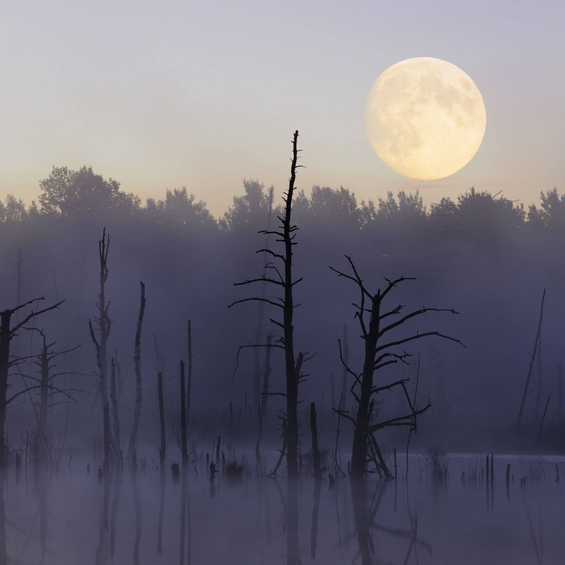 Was würde passieren, wenn der Mond weg wäre?