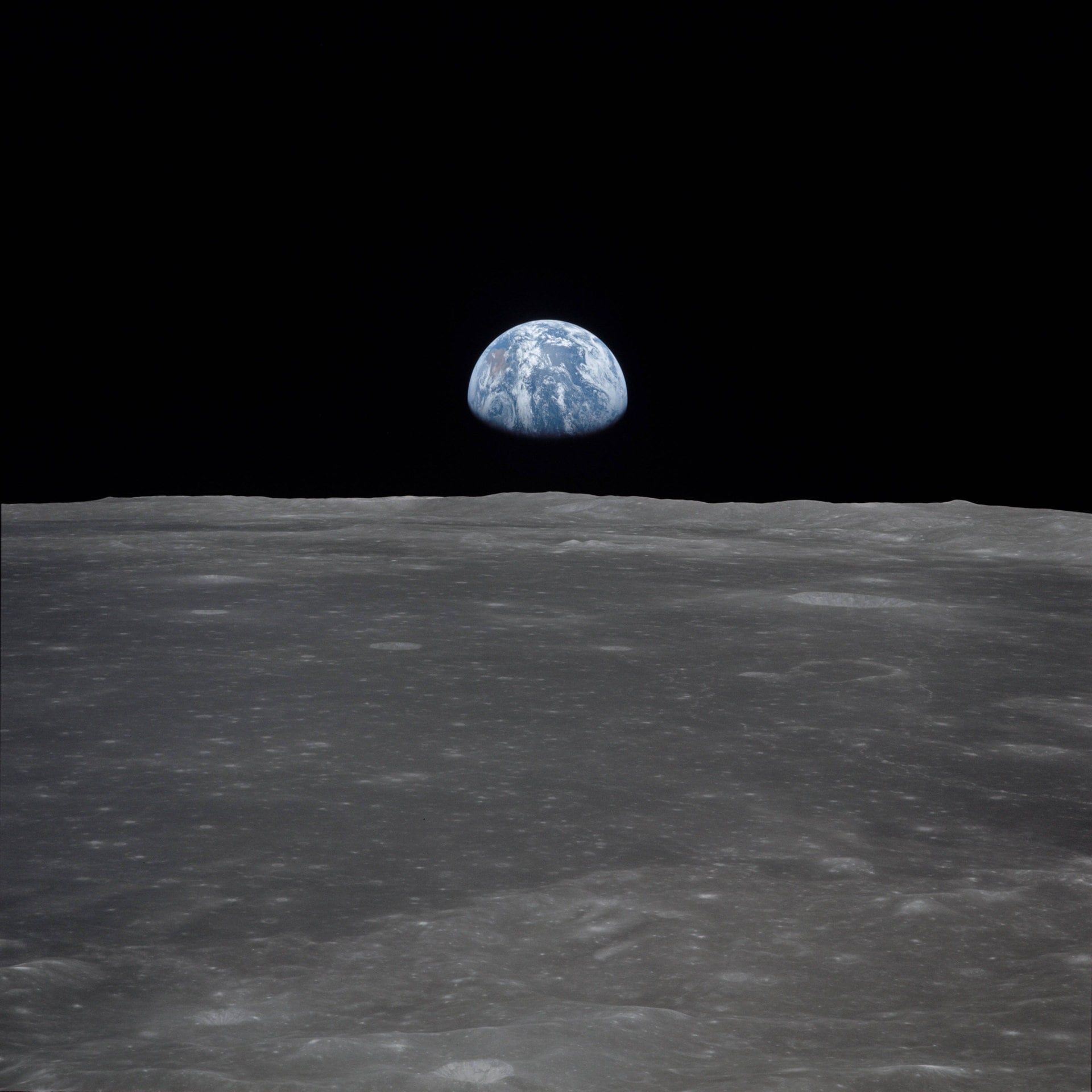 Hatte der Mond Einfluss auf die Entstehung des Lebens?