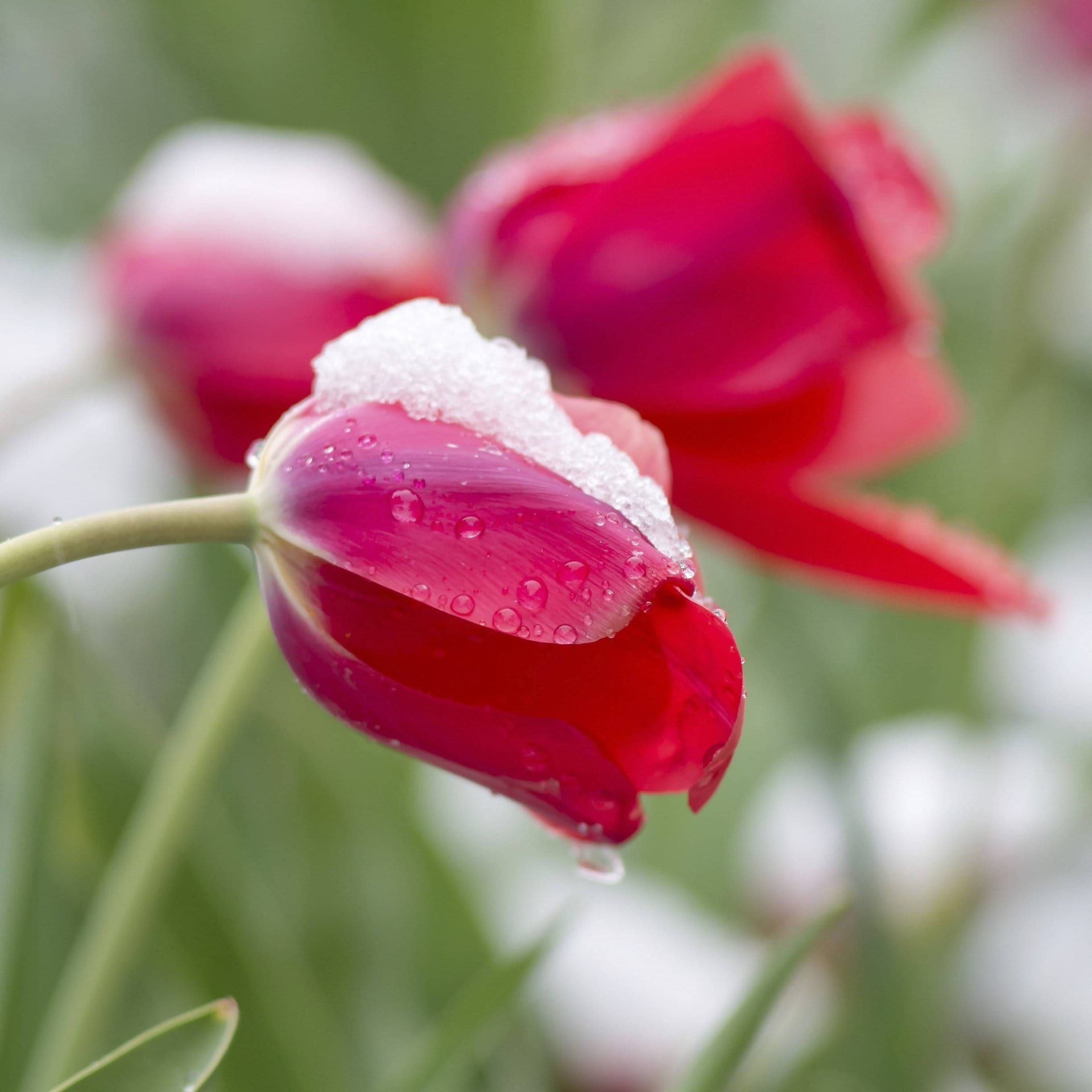 Warum ist das Aprilwetter so wechselhaft?