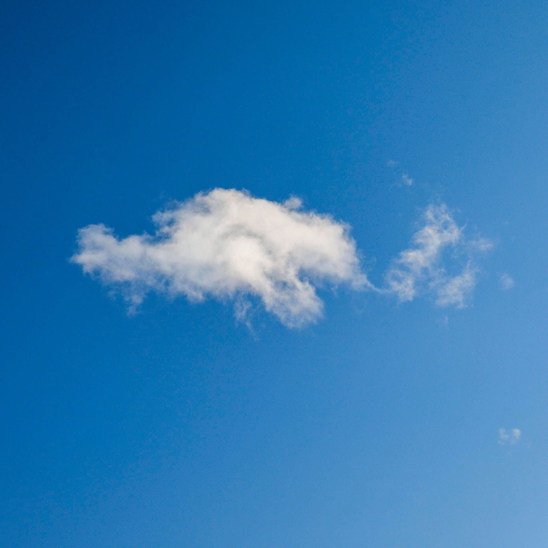 Warum sind Wolken mal klar begrenzt (Schäfchenwolken), mal nicht?