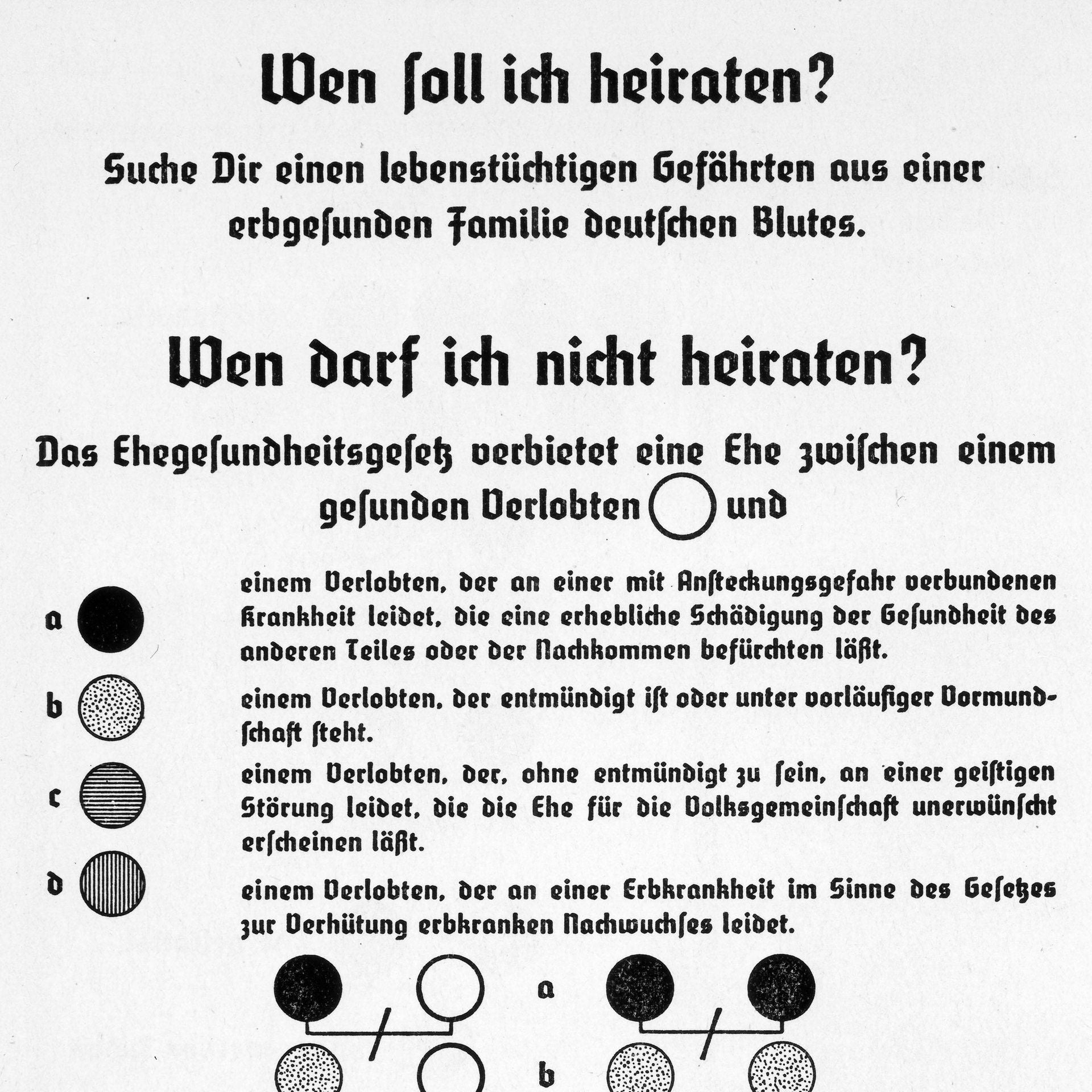 NSDAP-Funktionär Walter Groß über Rassenpolitik im Krieg | 14.3.1940