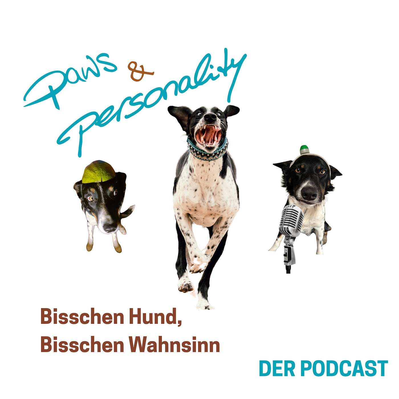 Bisschen Hund, bisschen Wahnsinn - Physio, Pole Dance und plötzlich erscheinende Pinguine