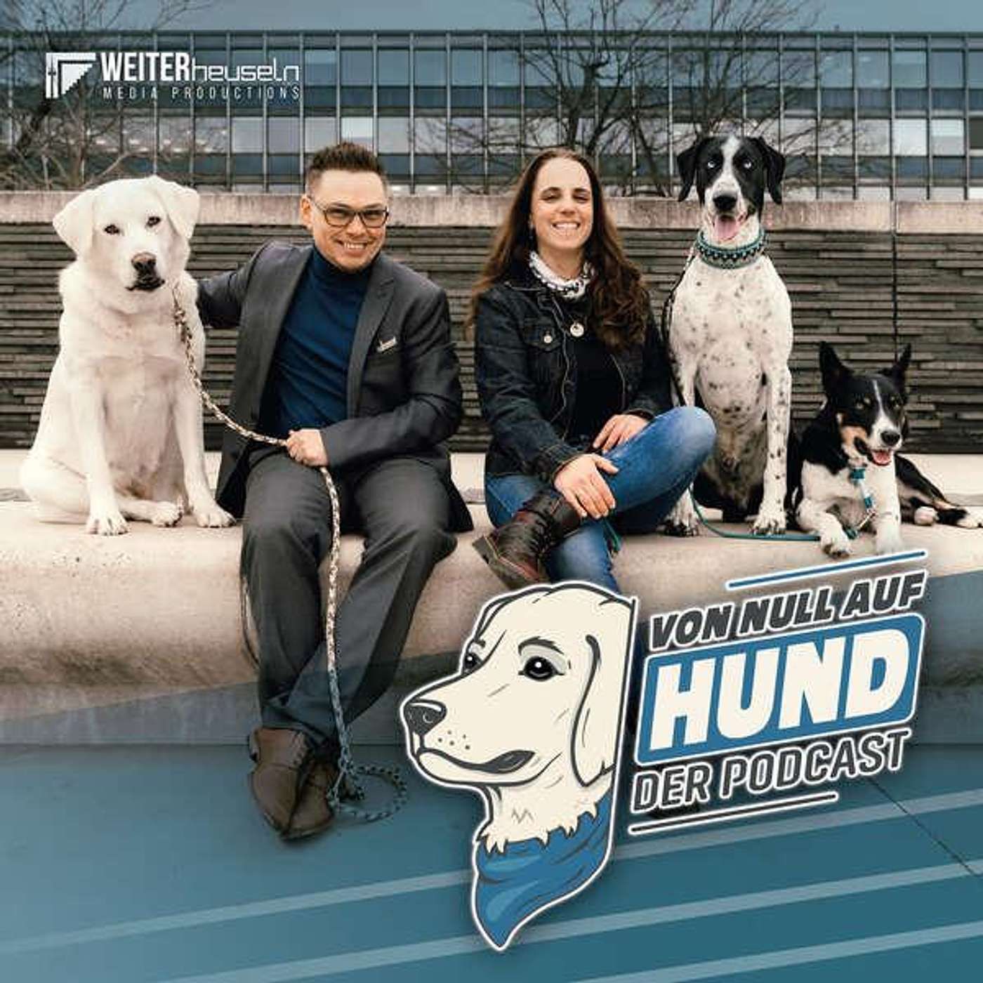1. VON NULL AUF HUND