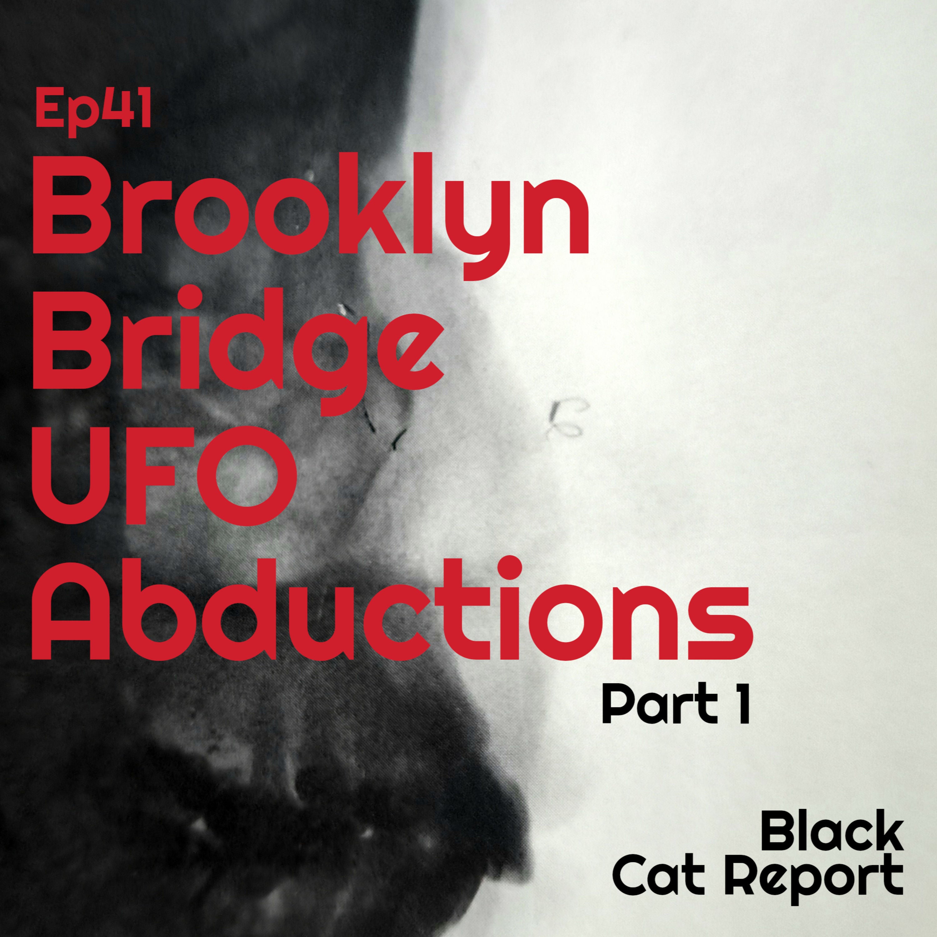 41 | Pt 1 | The Brooklyn Bridge UFO Abductions