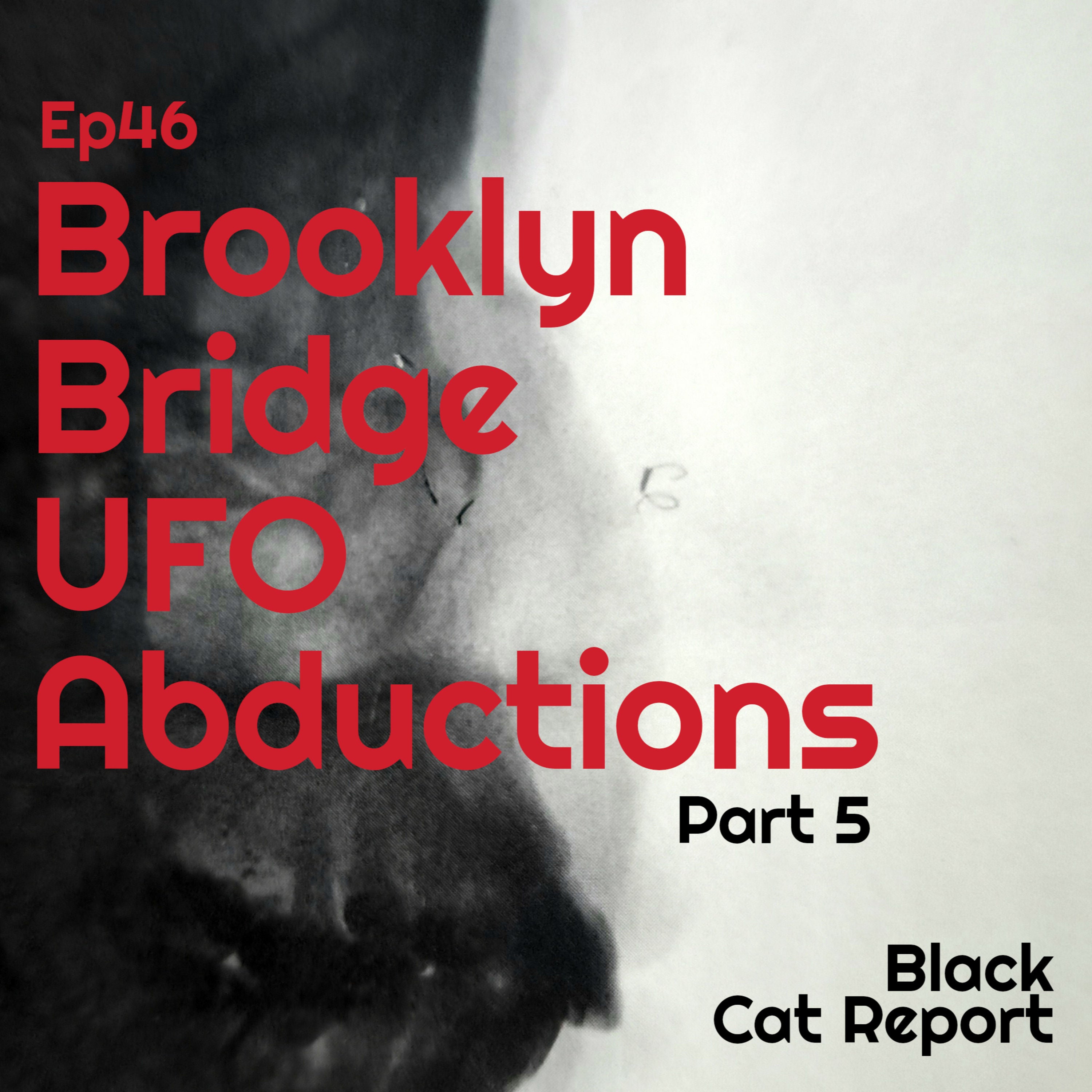46 | Pt 5 | The Brooklyn Bridge UFO Abductions - (Conclusion)