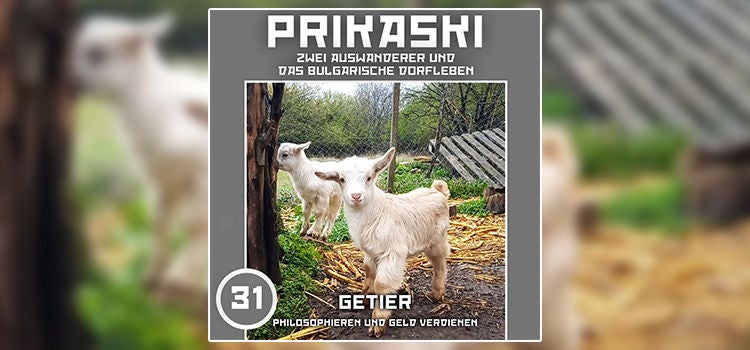Folge 31: Getier – Philosophieren und Geld verdienen