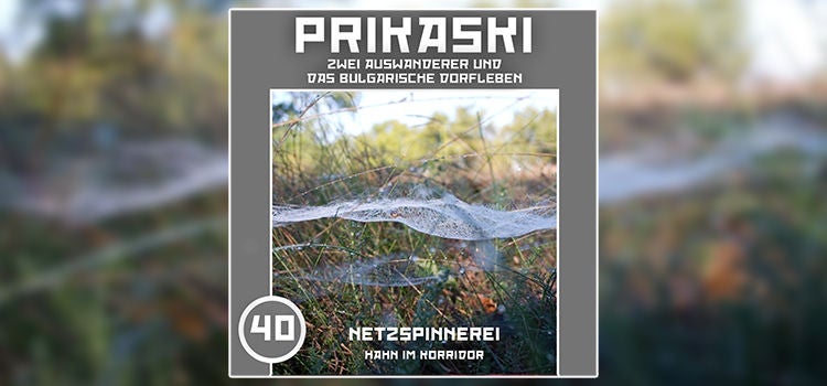 Folge 40: Netzspinnerei – Der Hahn im Korridor