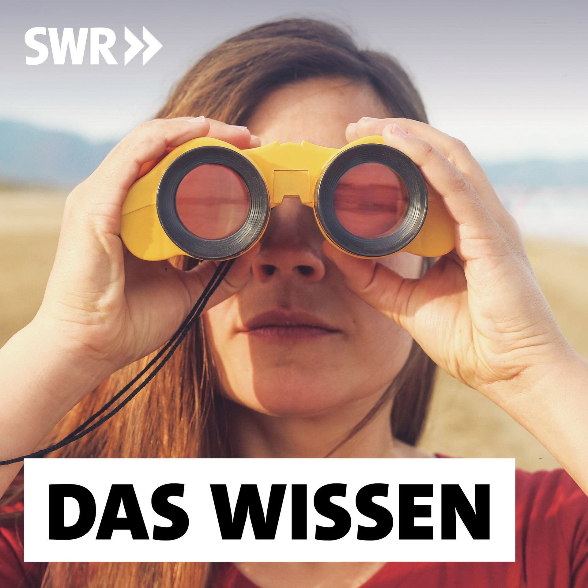 Das ist "Das Wissen"