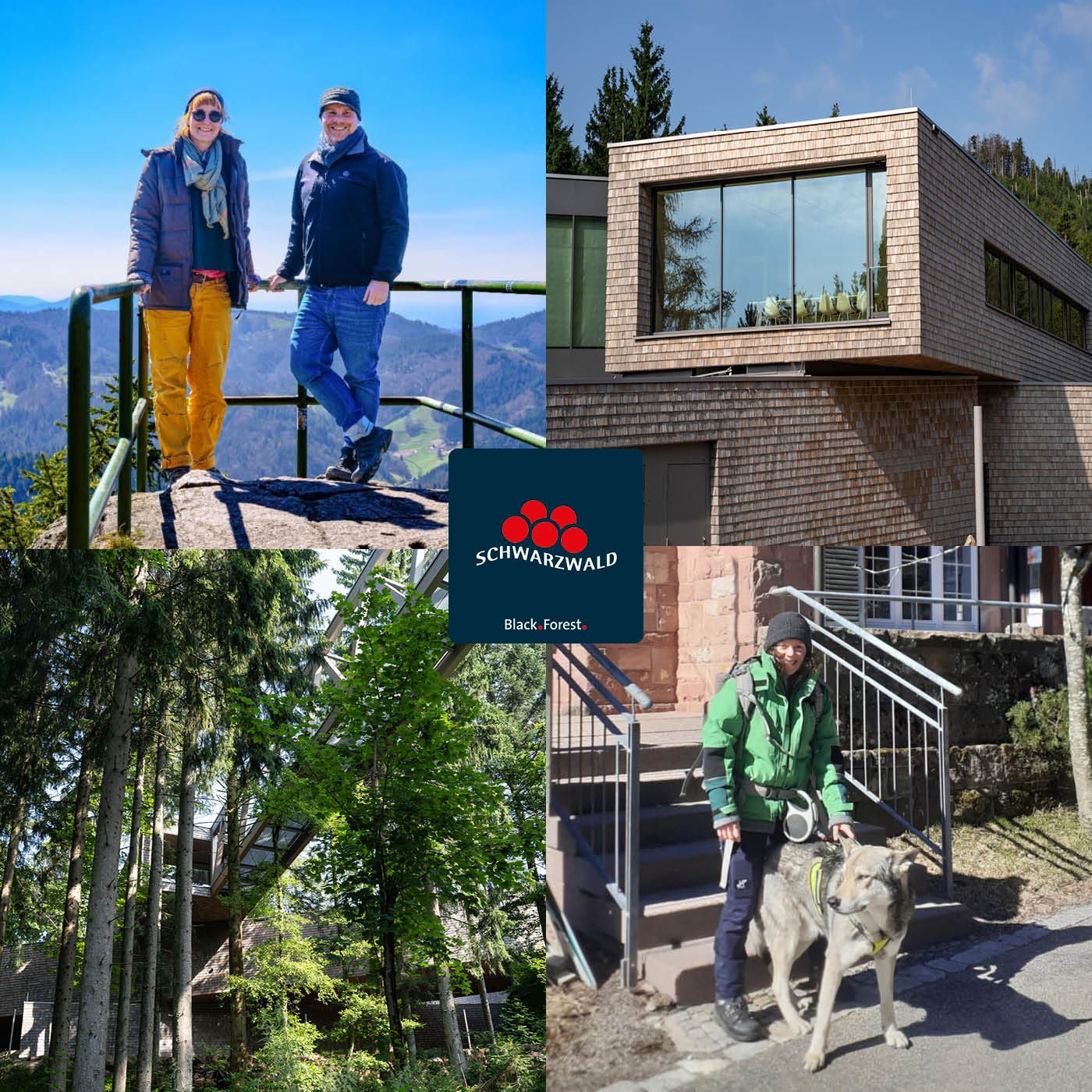 Natur, Nachhaltigkeit und Nationalpark im Schwarzwald